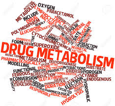 Le métabolisme des médicaments