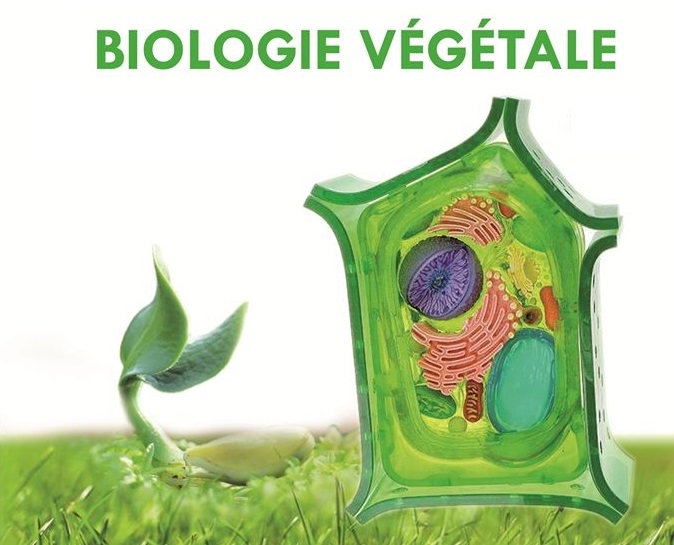 Biologie Végétale SV S1 20-21