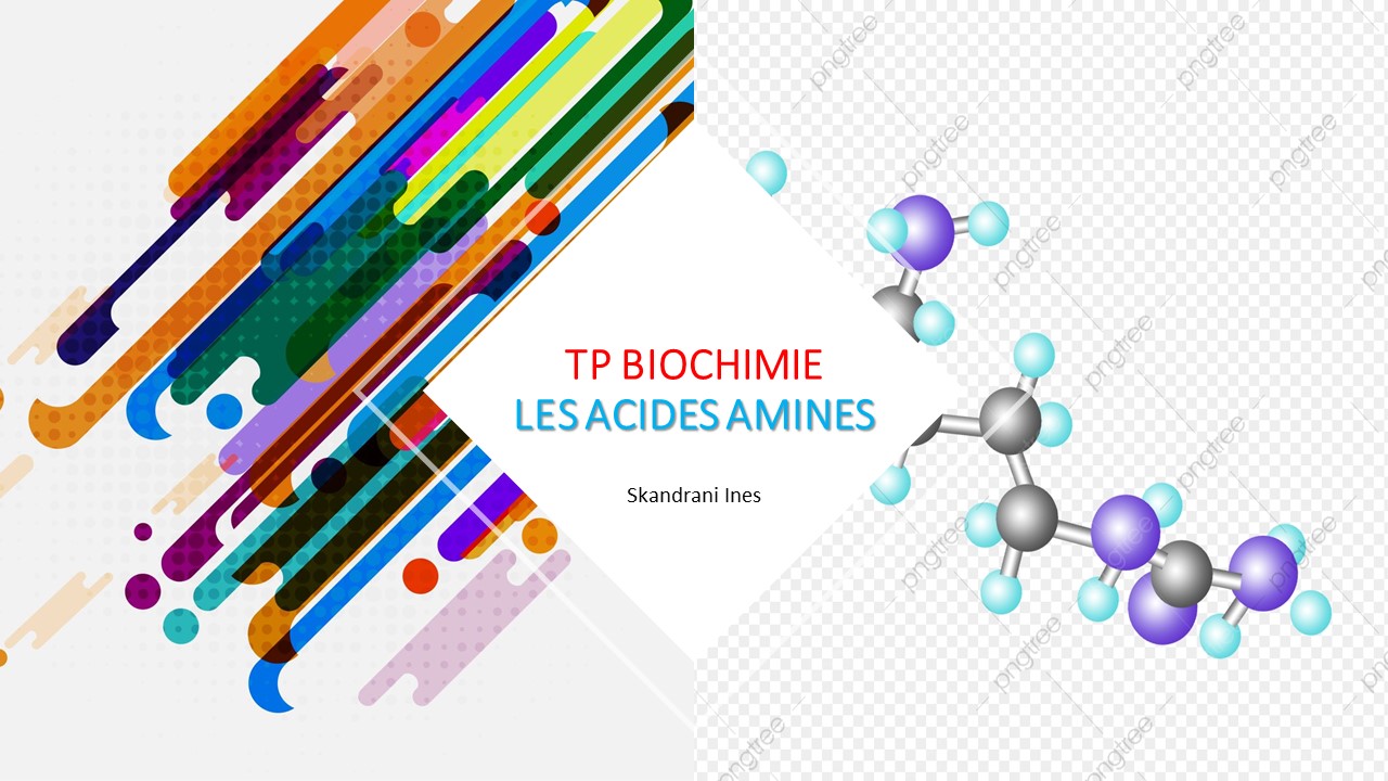 TP biochimie: TP2+TP3