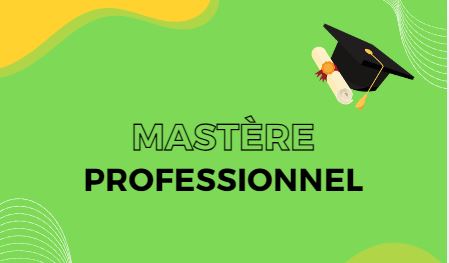 Mastère professionnel